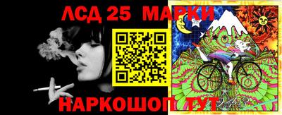 гидропоника Балашиха