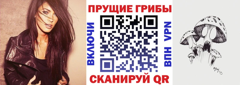 цена наркотик  блэк спрут ссылки  Псилоцибиновые грибы Psilocybine cubensis  Верхний Уфалей 